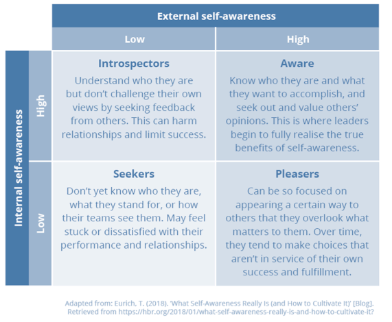 Qual é a diferença entre self awareness e self consciousness ?