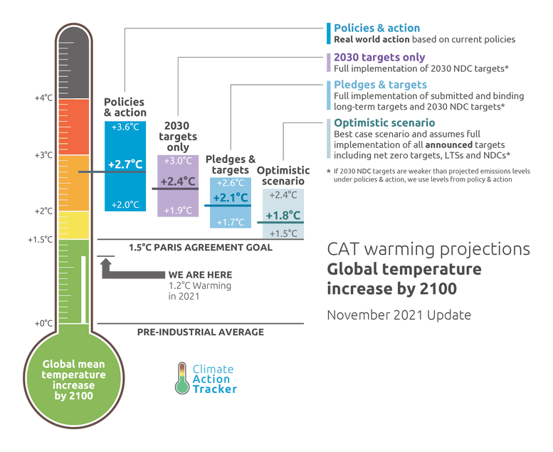CAT Thermometer