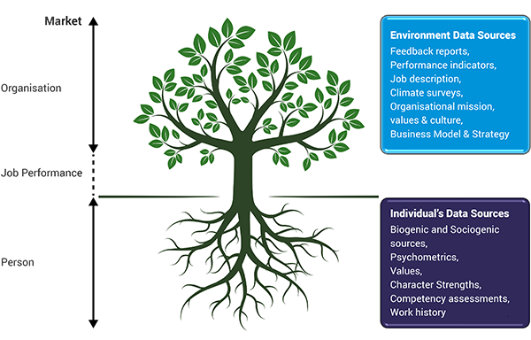 Executive Coaching Sydney | Proveritas Group