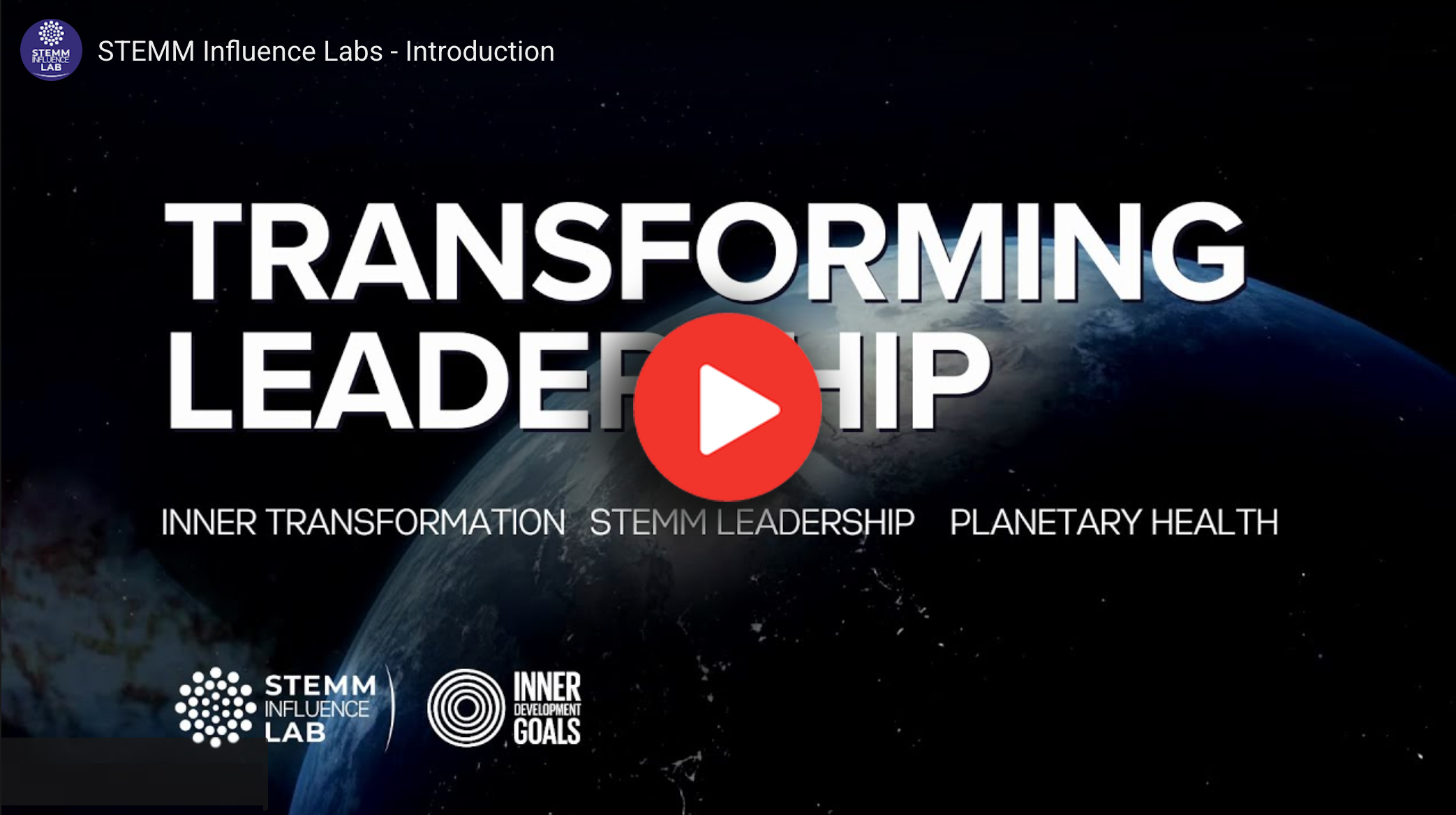 STEMM Leadership video link